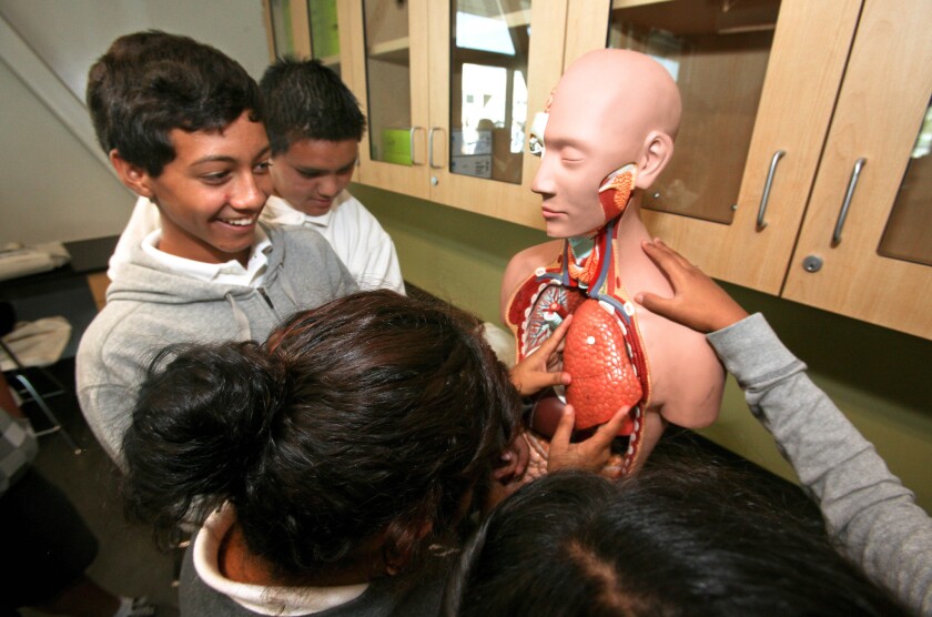 Christiaan Camilo, 14, left, an eighth-grader at Washington Irving Middle School in Los Angeles, checks out a three-dimensional model of a human body torso in the Energy Science Lab at the Sally Ride Center for Environmental Science. In California, climate and weather are covered in earth science standards.