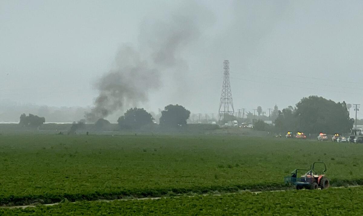 A plane crashed near Oxnard and set part of a strawberry field on fire.