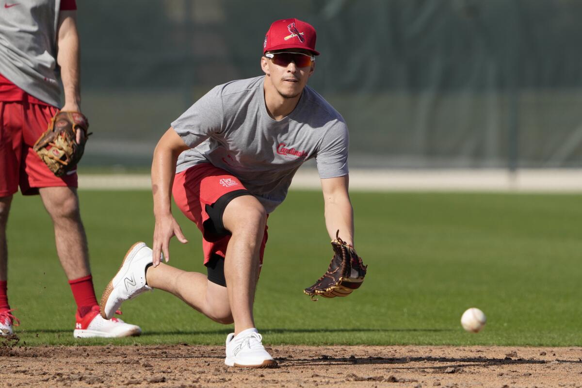 The Cardinals' Tommy Edman takes grounders during a spring training in Jupiter, Fla.