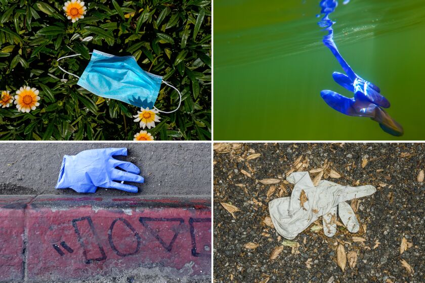 Clockwise from upper left: A discarded mask rests among flowers outside of a grocery store in Gardena; a protective glove worn floats in Newport Harbor; a discarded glove sits along a road in La Crescenta; and a discarded glove on the ground on Santa Monica Boulevard in Los Angeles.