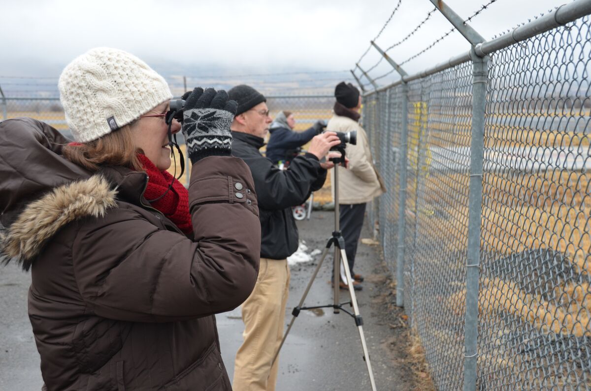 Activist Danielle Surkatty watches detainees board an ICE flight