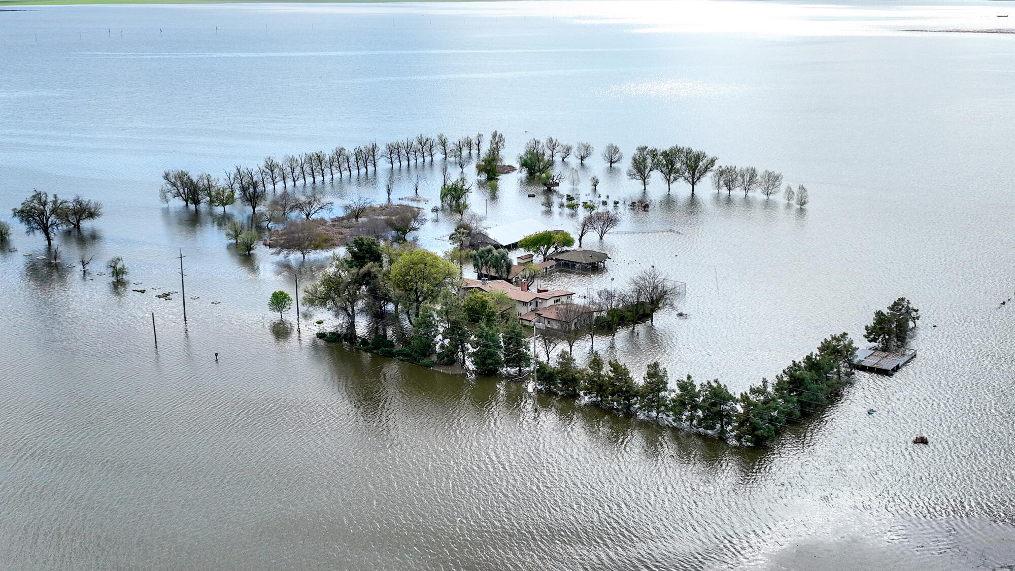 In an aerial view an estate is flooded with trees marking large rectangular property line