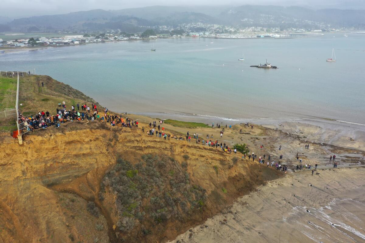 A crowd stands on a bluff looking out over the beach