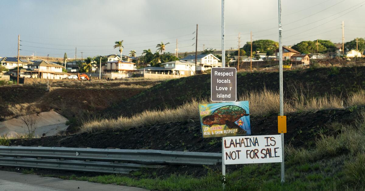 Hawaii leaders have new energy to restrict Airbnbs, trip leases