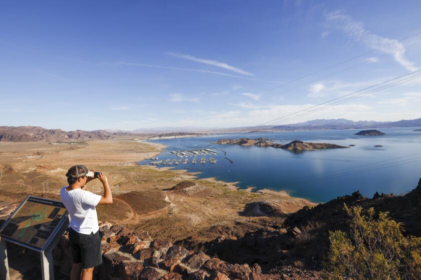 Lake Mead, NV - June 28: A tourist overlooks Hemenway Harbor, Lake Mead, which is at its lowest level in history since it was filled 85 years ago, Monday, June 28, 2021. The ongoing drought has made a severe impact on Lake Mead and a milestone in the Colorado River's crisis. High temperatures, increased contractual demands for water and diminishing supply are shrinking the flow into Lake Mead. Lake Mead is the largest reservoir in the U.S., stretching 112 miles long, a shoreline of 759 miles, a total capacity of 28,255,000 acre-feet, and a maximum depth of 532 feet. (Allen J. Schaben / Los Angeles Times)