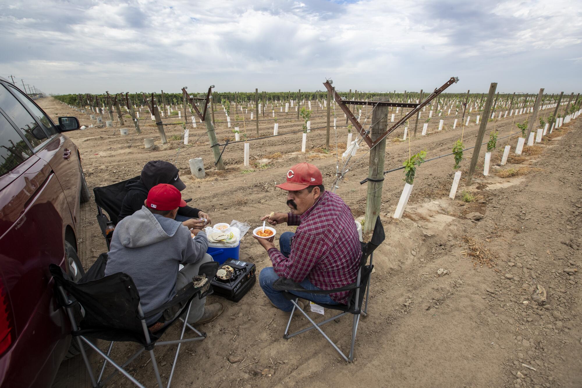 Farmworkers having lunch in a field on Thursday in Delano, Calif.