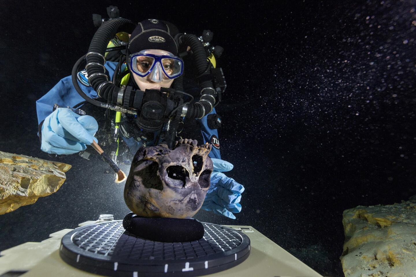 Diver Susan Bird works at the bottom of Hoyo Negro, a large dome-shaped underwater cave on Mexico's Yucatán Peninsula. She carefully brushes the human skull found at the site while her team members take detailed photographs.