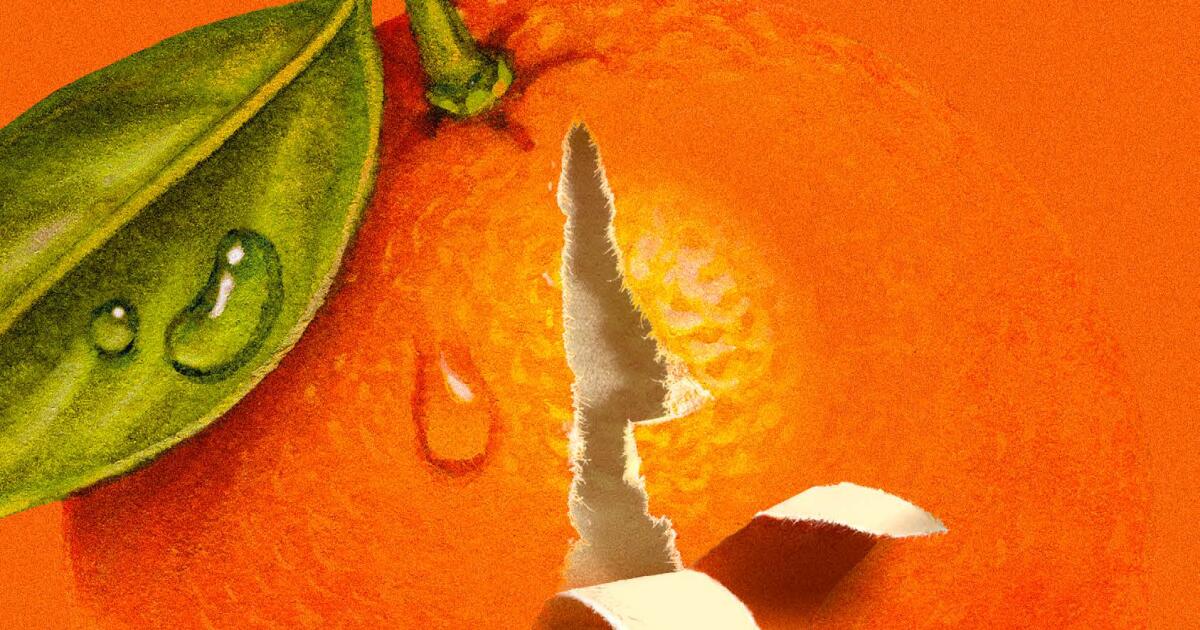 « Un acte de service risque de se transformer en égoïsme » : ce livre explore la relation mère-fille
