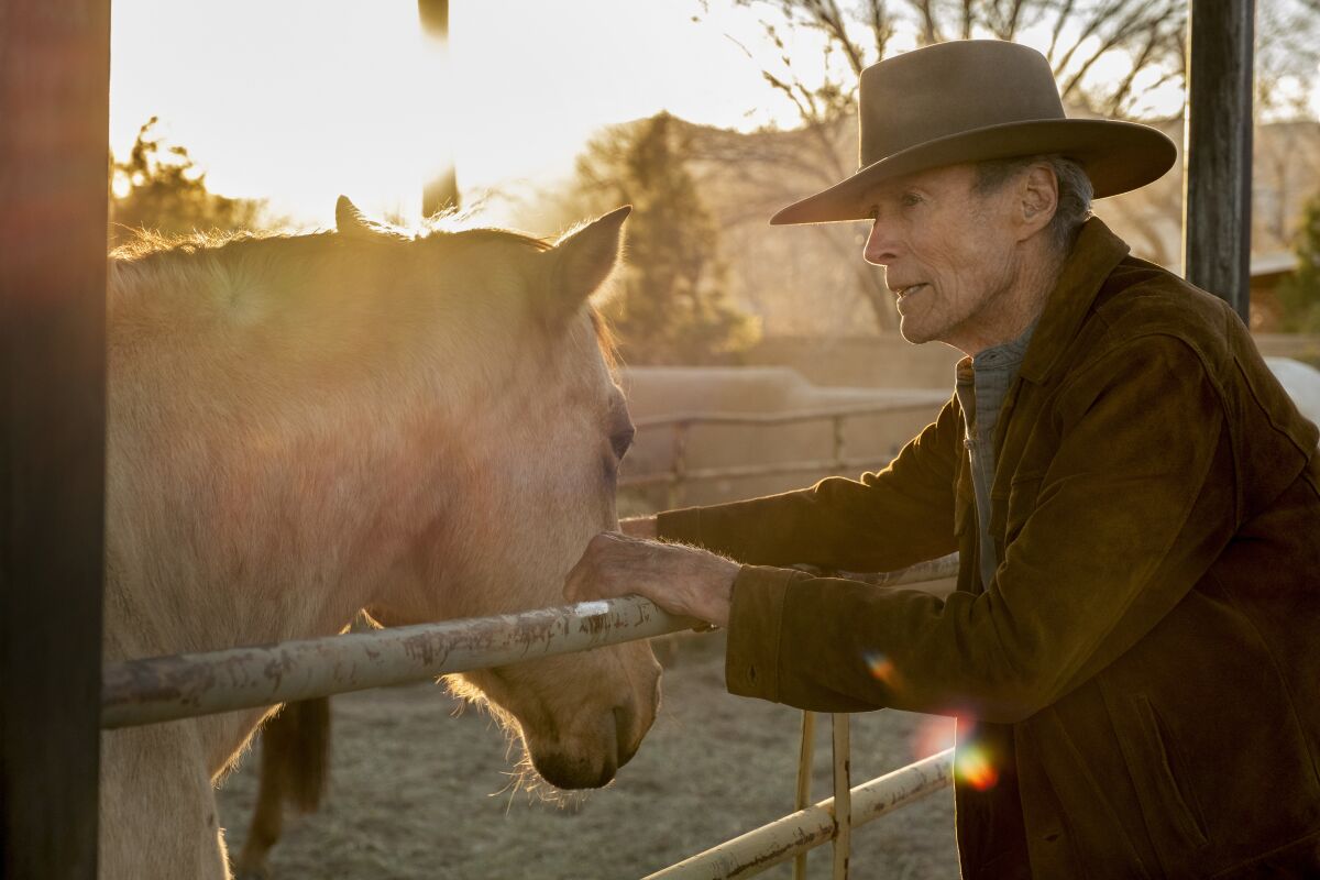 Clint Eastwood pets a horse in "Cry Macho."