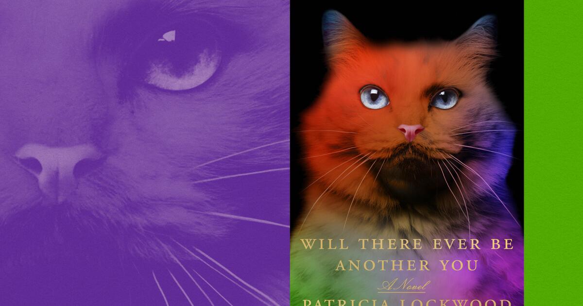 ‘Will There Ever Be One other You’ evaluate: Patricia Lockwood on COVID ‘Will There Ever Be One other You’ evaluate: Patricia Lockwood on COVID