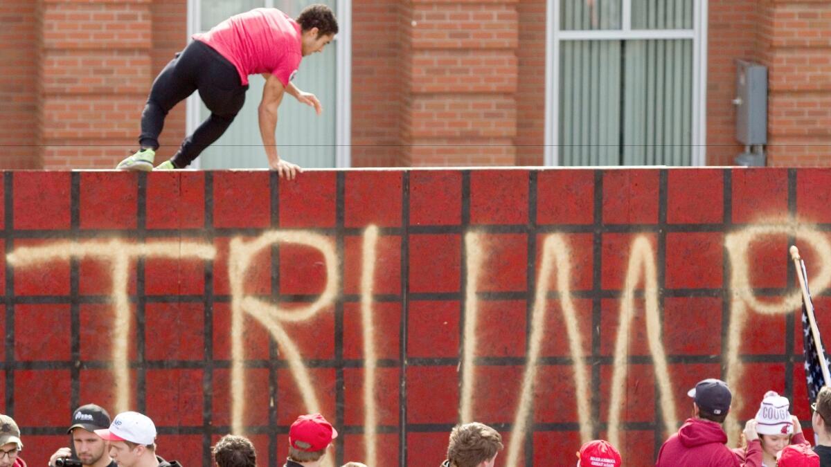 A Trump wall erected by the Washington State University College Republicans on campus last month.