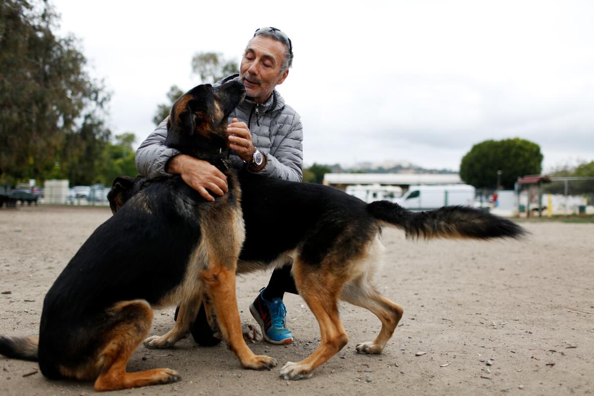 Karim Kamal pets dogs he cares for at Barrington Dog Park.