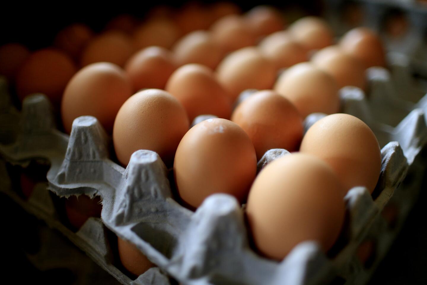 Chefs: Hold the egg please not every dish needs one on top Los Chefs: Hold the egg please not every dish needs one on top Los