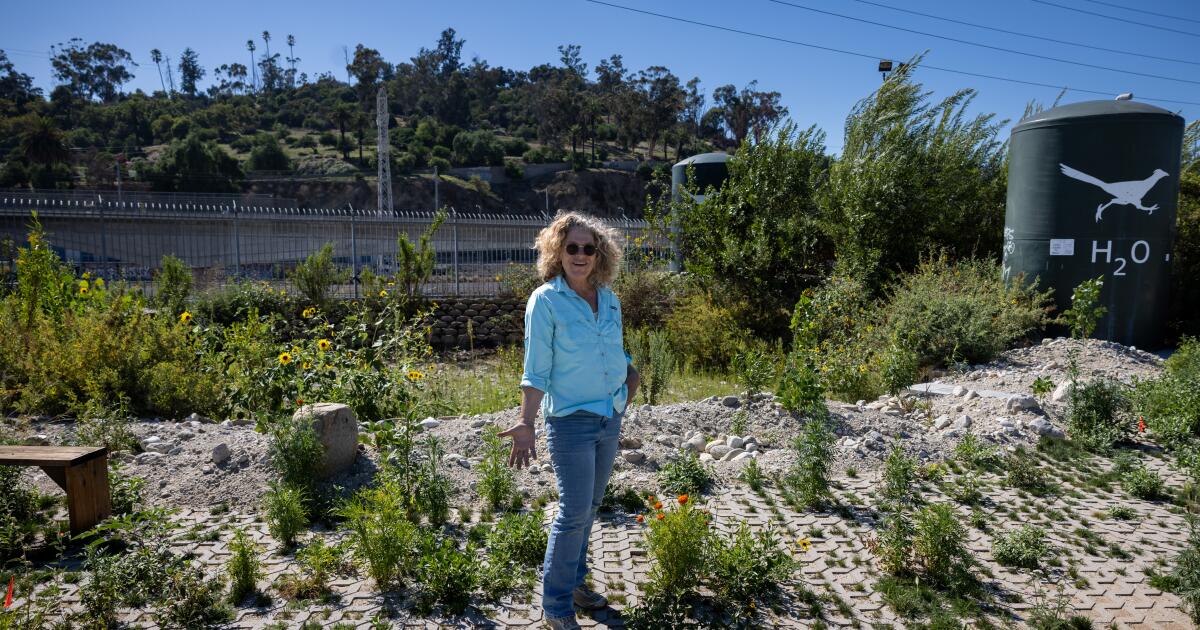 劳伦·邦的《弯曲的河流》正在重新恢复洛杉矶的水道