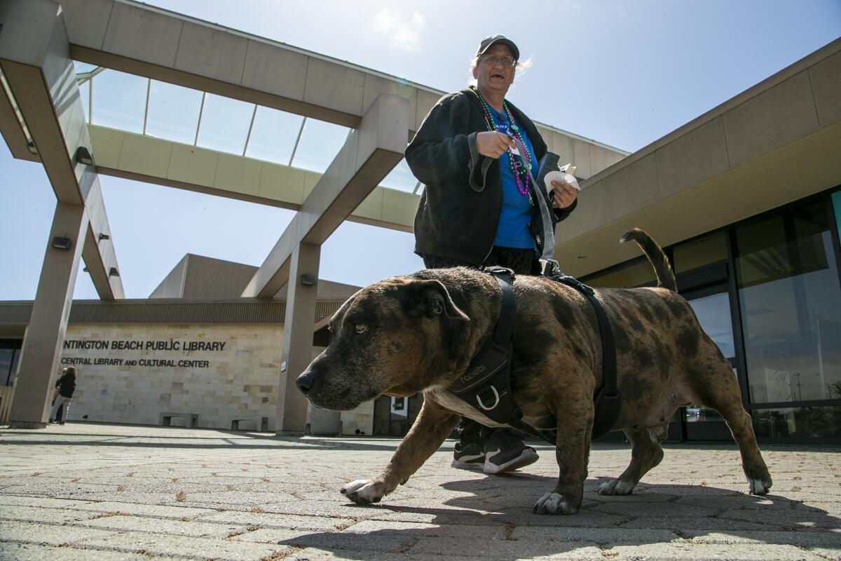 Shanna Ricker and her service dog, Camo, leave the Huntington Beach Public Library in May 2023.