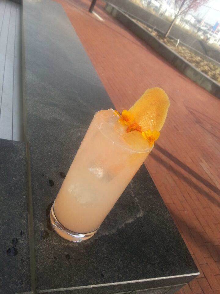 The Paloma on the Harbor at Wit & Wisdom