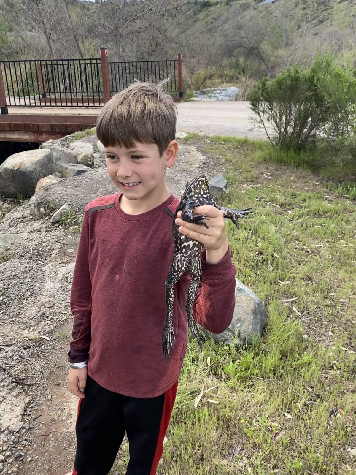 Jace Valentine with a bullfrog he caught at the Arroyo.