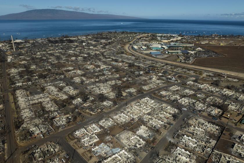 FILE - The aftermath of a wildfire is visible in Lahaina, Hawaii, Aug. 17, 2023. A judge on Friday, May 3, 2024, forced the Hawaii attorney general's turn over to lawyers involved in the hundreds of lawsuits over last summer's Maui wildfires all documents, interviews and data collected by the outside team hired to investigate the deadly disaster. (AP Photo/Jae C. Hong, File)
