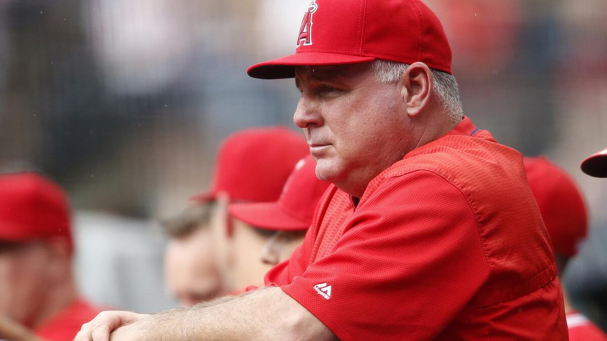 Angels Manager Mike Scioscia is ready to expand the rotation to get a look at some young pitchers in September.