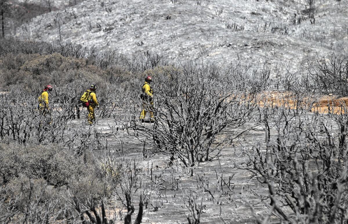 Firefighters look for hot spots from the Anza fire, burning southeast of Hemet in Riverside County.