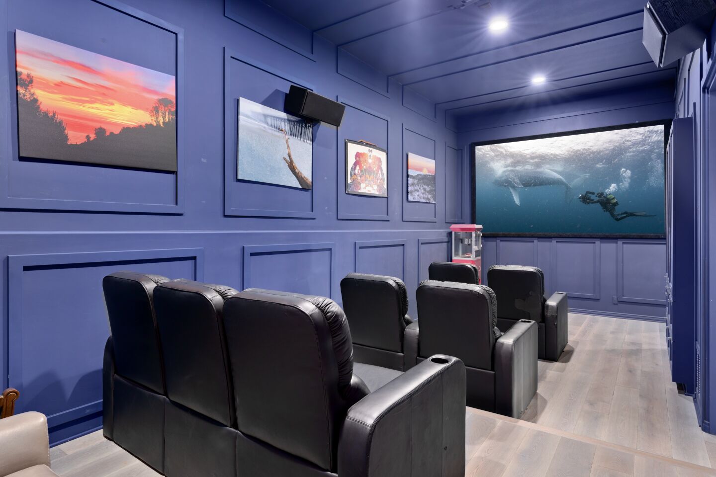 The home theater features tiered seating.