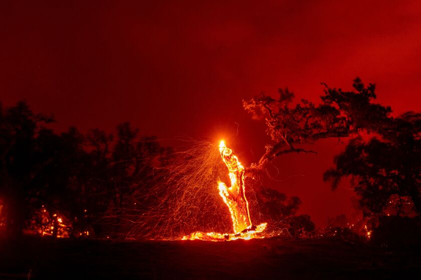 California Fires Nearly 2 000 Structures Burned More Possible Los Angeles Times