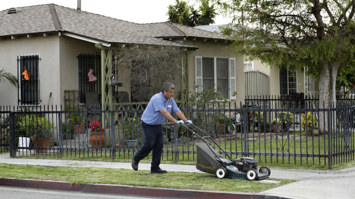 Francisco Cruz mows the parkway in front of his home on 53rd Street in Maywood. His yard was cleaned of lead contamination a few years ago, but the parkway was not.