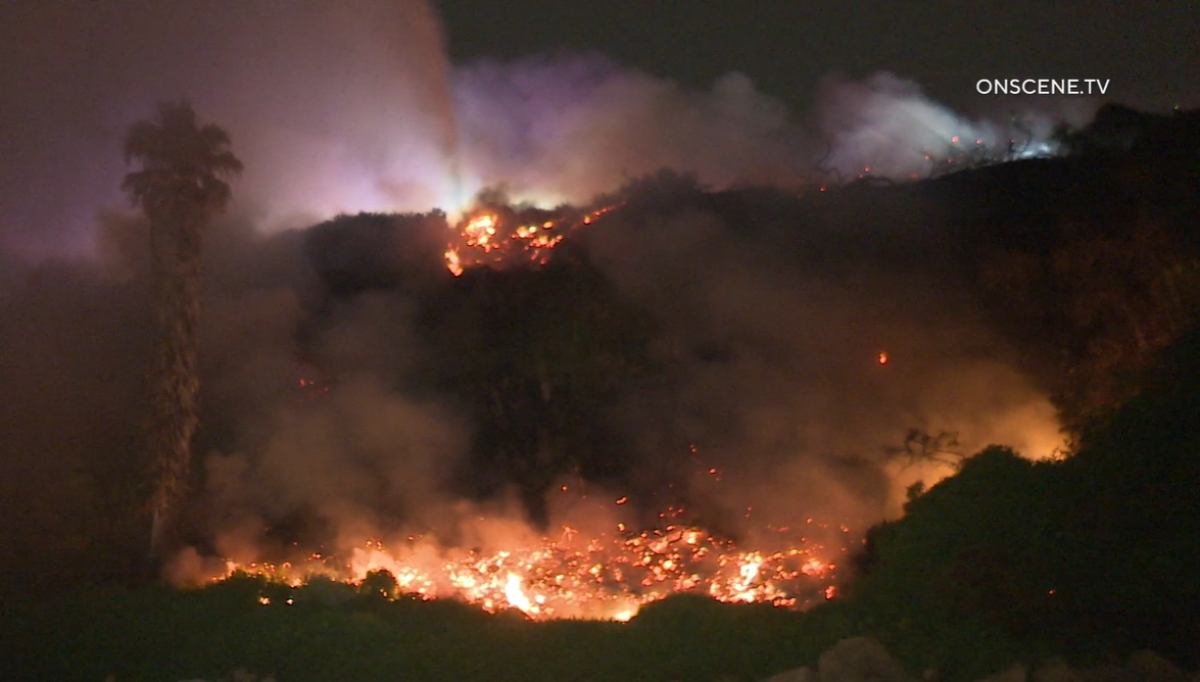 A brush fire burned along the bluffs in Encinitas near South Coast Highway 101 early Wednesday.