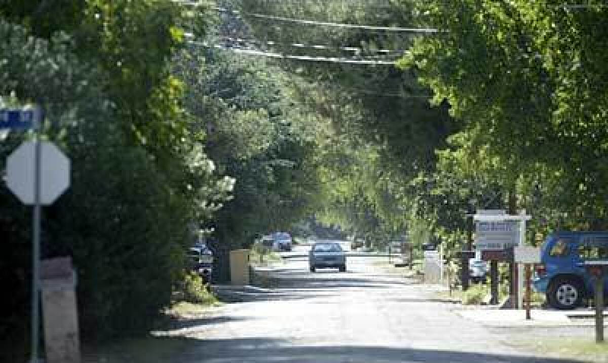 Mature trees and an absence of sidewalks help give a rural feeling to the Tarzana neighborhood of Melody Acres.