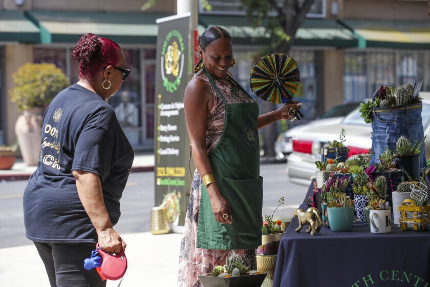 Two women on the street look at a table filled with succulent arrangements. 