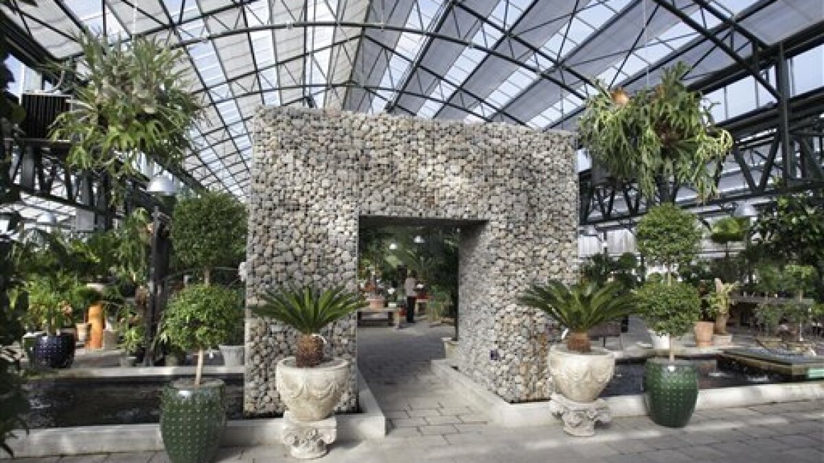 Greenhouse Showroom Feels Like A Botanical Garden The San Diego Union Tribune