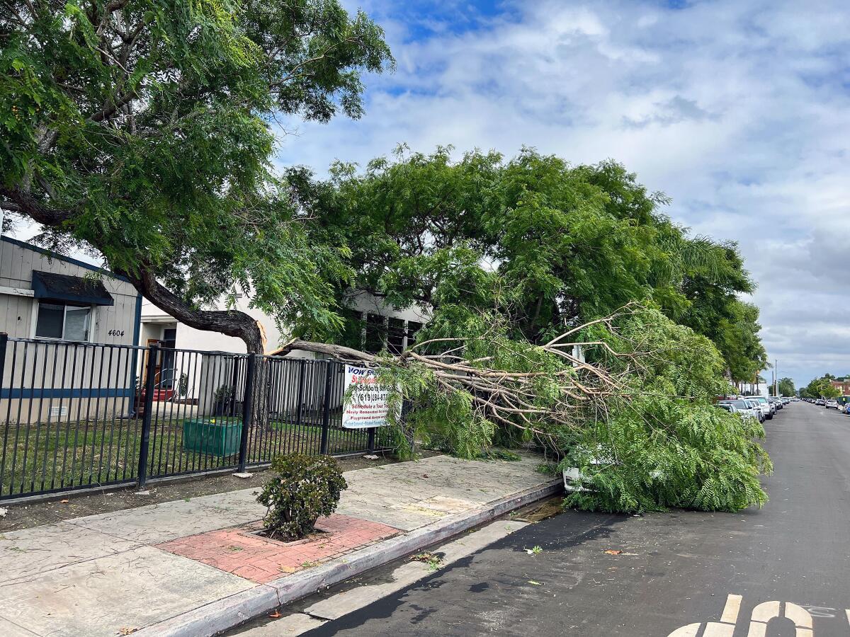 Historic tropical storm warning: Hilary could cause flooding, tornadoes  across San Diego County - The San Diego Union-Tribune