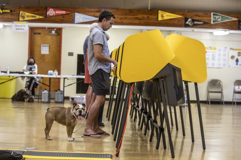Venice, CA - JUNE 07: Cameron Porsandeh voting with his Old English Bulldog in the primary election at Westminster Elementary on Tuesday, June 7, 2022, in Los Angeles, CA. (Francine Orr / Los Angeles Times)
