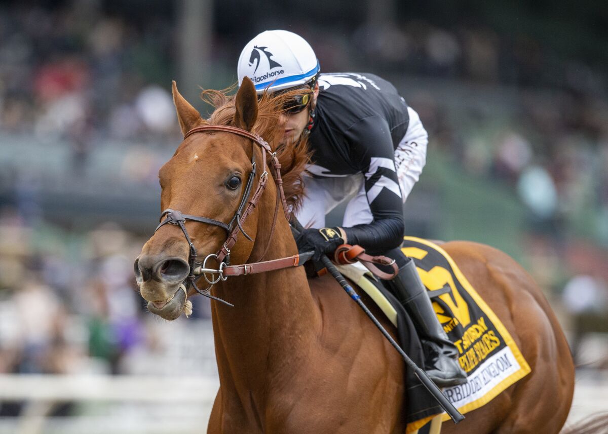 Forbidden Kingdom, ridden by jockey Juan Hernandez, wins the Grade II San Felipe Stakes horse race on March 5 at Santa Anita.
