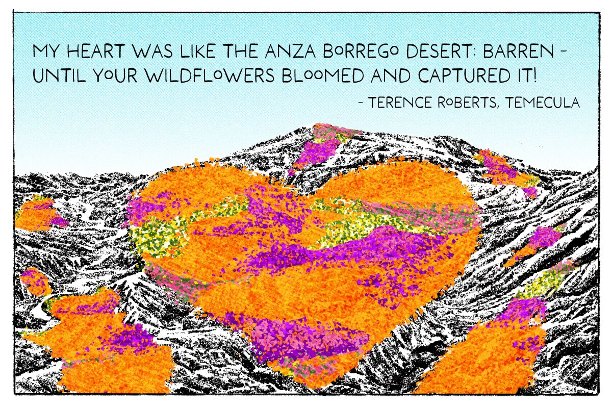 An illustration of wildflowers in the shape of a heart in a desert valley.