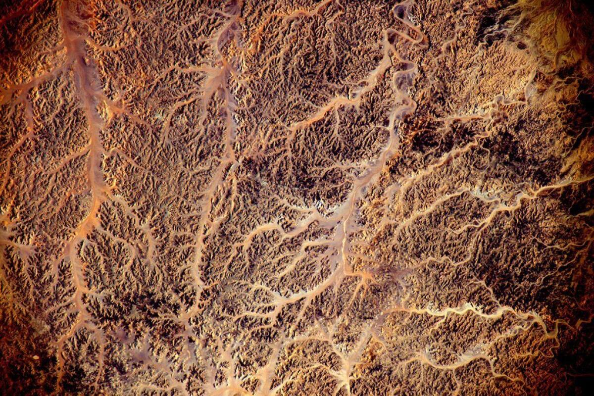 "#Africa #EarthArt Sometimes veiny but never vain. #YearInSpace"