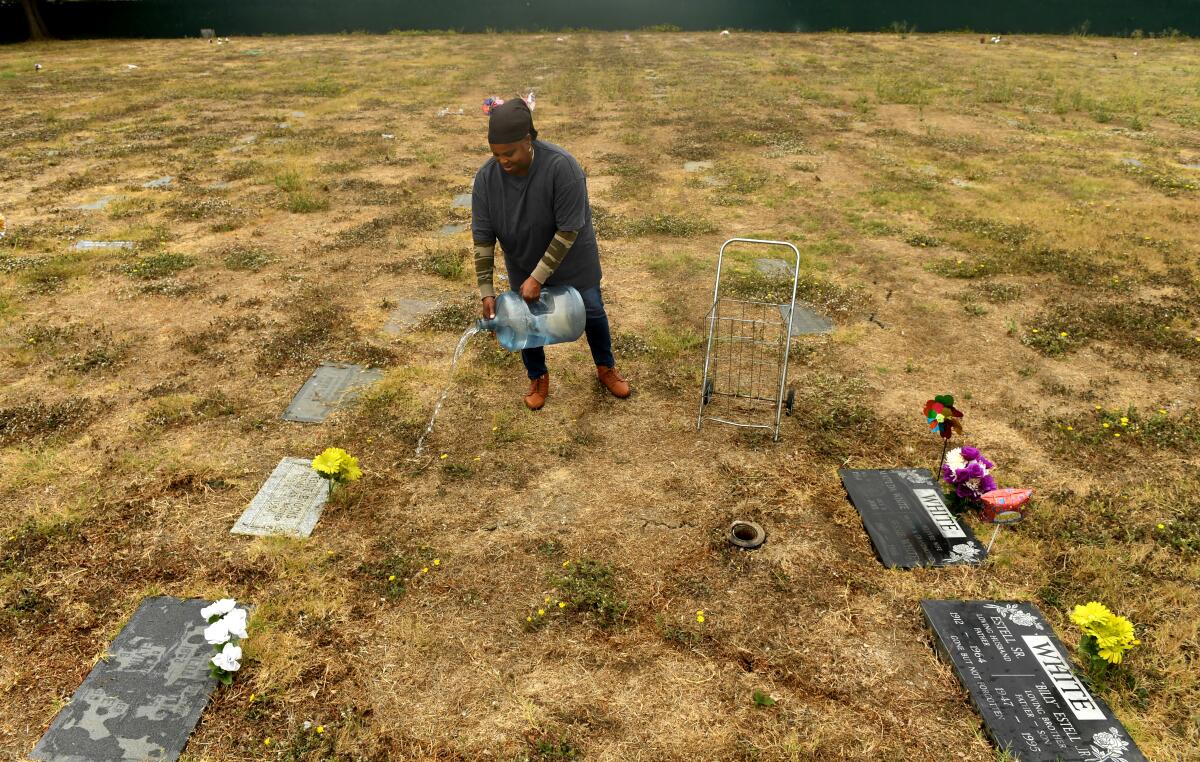 A person uses a water jug to sprinkle water on brown grass next to grave sites.