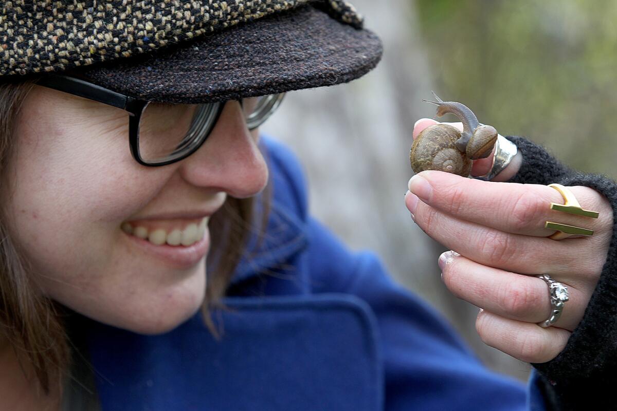 Science blogger and illustrator Katie McKissick views two snails together during the SnailBlitz.