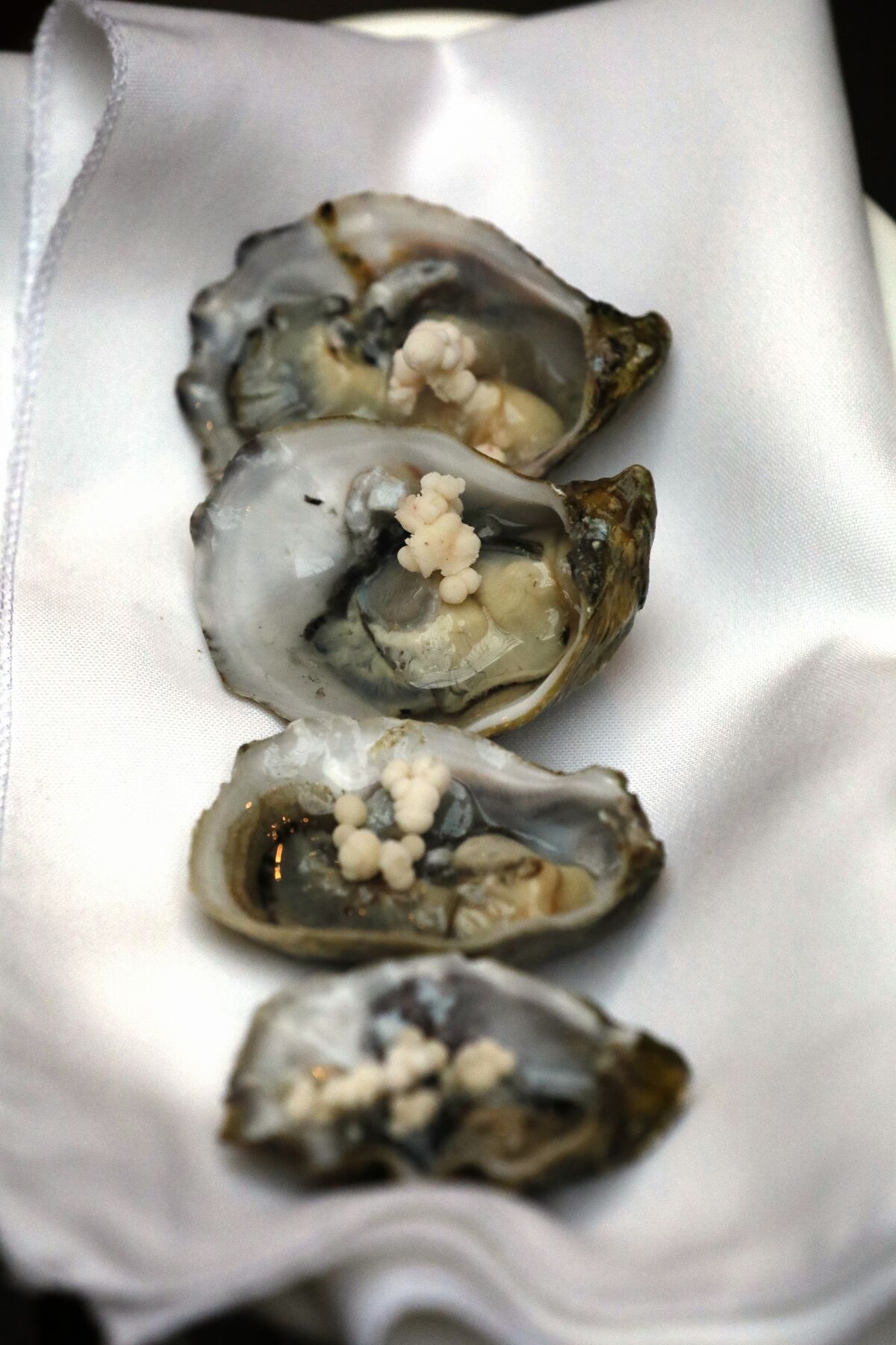 A photo of several Kumamoto oysters at Cosecha SD