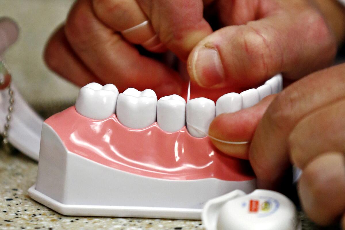 Flossing is demonstrated on an oversized model of human teeth