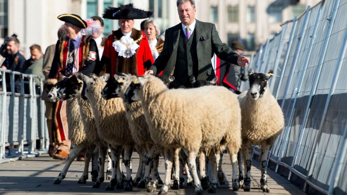 British television personality Alan Titchmarsh drives sheep across London Bridge during the annual Sheep Drive in central London on Sept. 30.