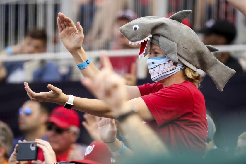 FILE - In this Sept. 29, 2019, file photo, a fan wears a shark hat as Washington Nationals' Gerardo Parra comes up to bat in the eighth inning of a baseball game against the Cleveland Indians at Nationals Park in Washington. The “Baby Shark, doo doo doo doo doo doo” earworm might just be coming to a World Series near you, if Washington Nationals backup outfielder Gerardo Parra heads to the plate during one of his team’s home games against the Astros. (AP Photo/Andrew Harnik, File)