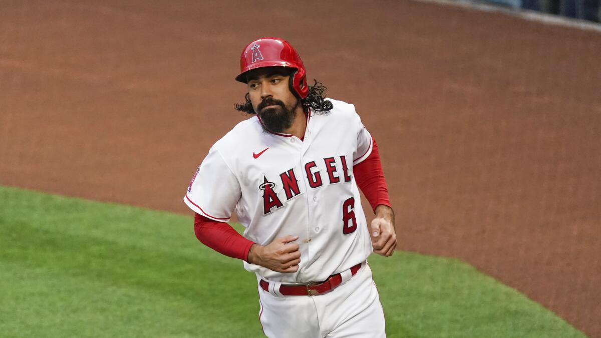 Angels third baseman Anthony Rendon runs while wearing a batter's helmet.