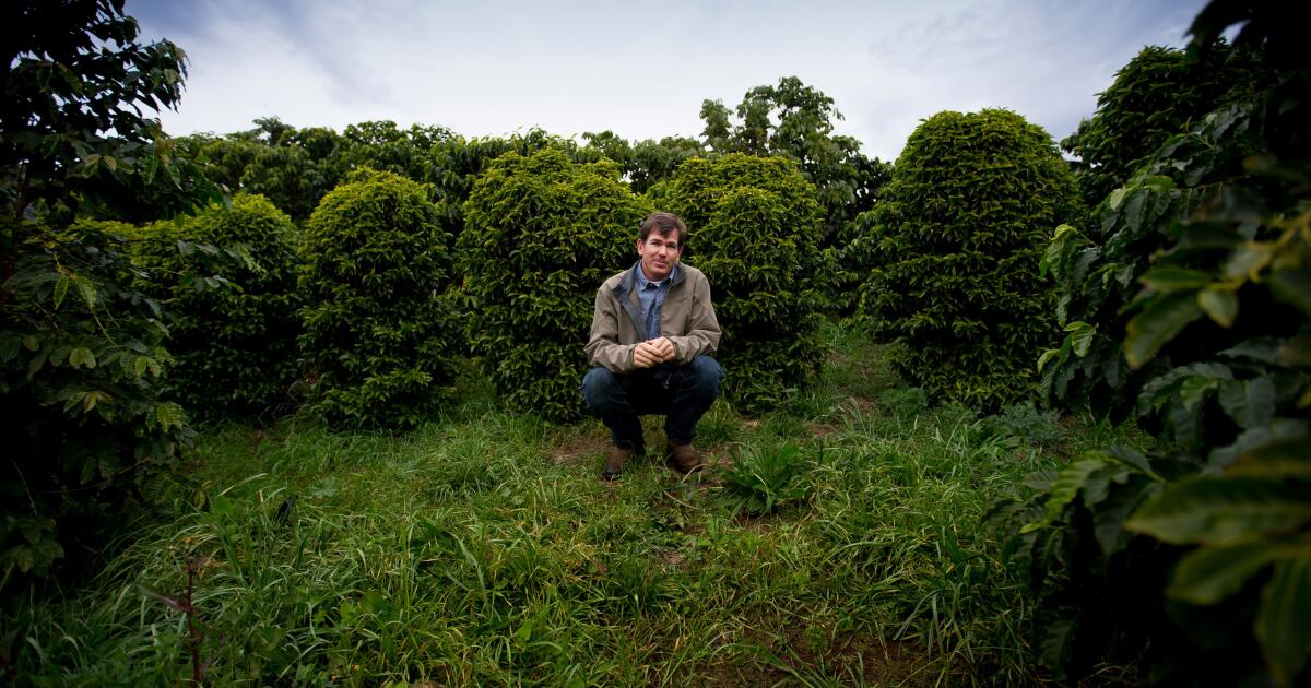 Pioneiro da cafeicultura na Califórnia morre de causas desconhecidas e deixa três filhos