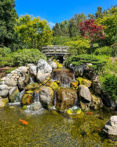 A photograph of the Japanese Friendship Garden at Balboa Park.