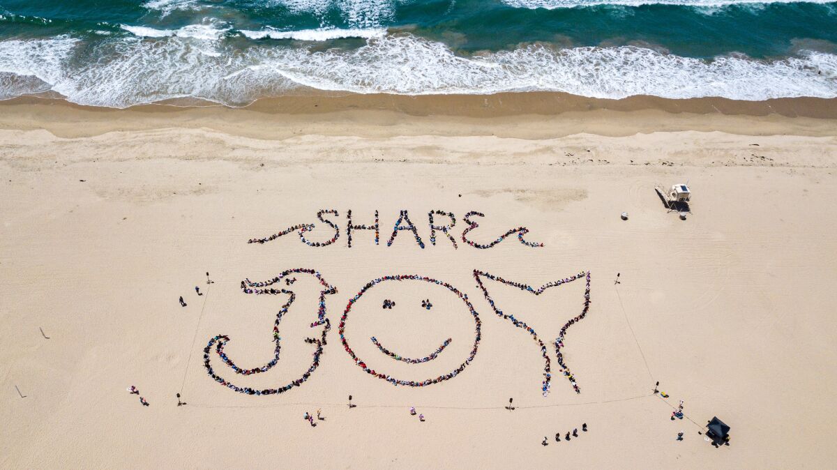 Aerial view of people standing on a beach to spell out "Share Joy" with images of a seahorse, smiling face and whale tail