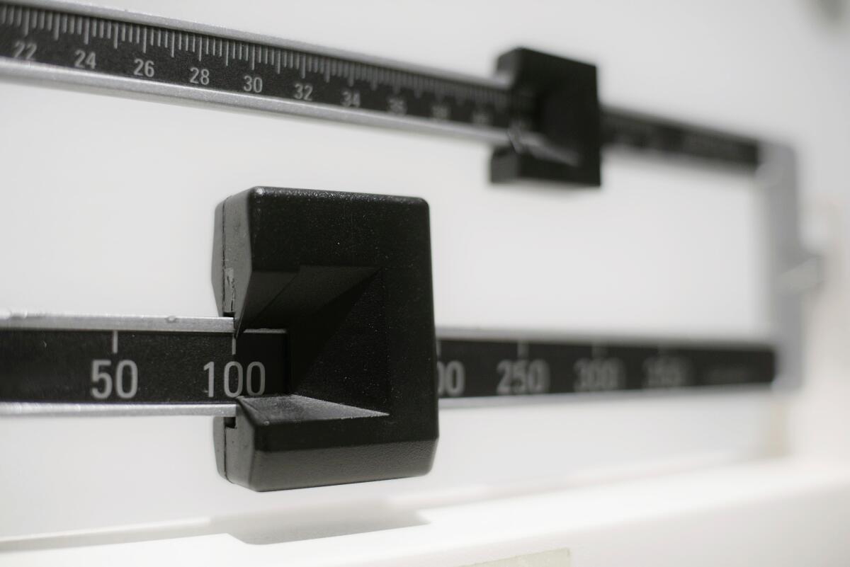 A close-up of a beam scale, with one indicator at the 100-pound mark.