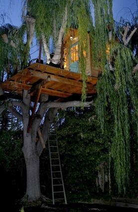 Mike Caveney fashioned his own willow-top treehouse piece by piece in his Pasadena garage. New Treehouses of the World: A book preview in photos For a peek inside more Southern California homes, go to our Homes of The Times gallery.