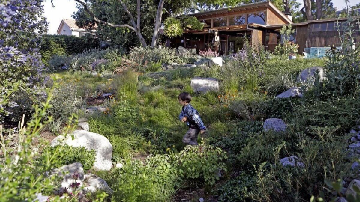 Yoshi Aoyagi moves from the vernal pool to the meadow in his Tujunga backyard.