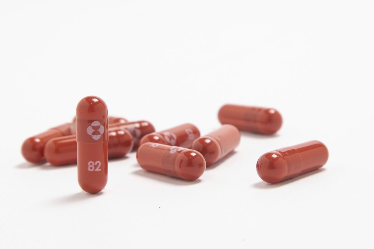 Several reddish capsules of Merck's COVID-19 treatment drug